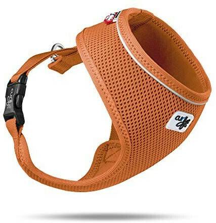 Curli Basic Air MeshL 46-54cm orange Curli Basic Air Mesh