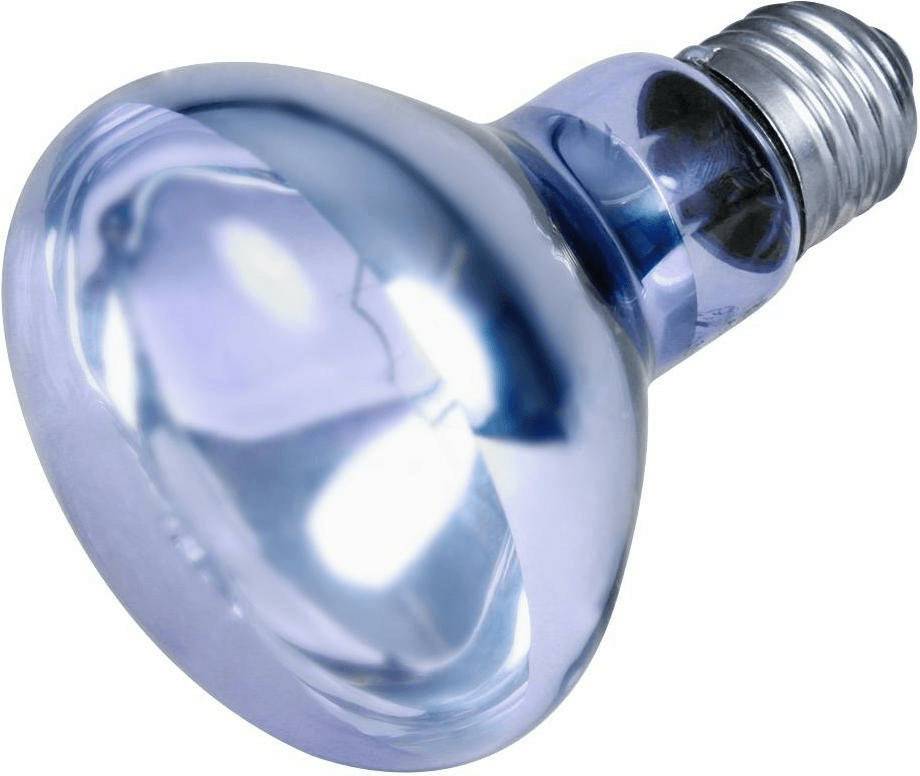 Trixie Reptiland Neodymium-Wärme-Spot-Lampe100W Trixie Reptiland Neodymium-Wärme-Spot-Lampe